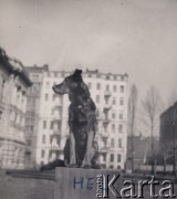 1920-1939, Polska.
Pies Hel należący do rodziny chemika i fizyka profesora Wojciecha Świętosławskiego.
Fot. NN, zbiory Ośrodka KARTA, udostępniła Joanna Majewska
