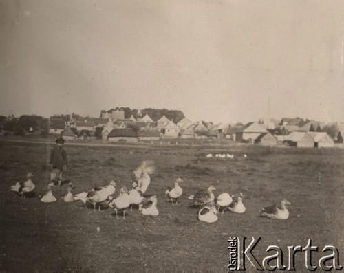 1924-1932, Kosów Poleski, woj. poleskie, Polska.
Chłopiec na łące pilnujący stada kaczek, w tle panorama miasta.
Fot. Feliks Drozdowski, zbiory Ośrodka KARTA, Pogotowie Archiwalne [PAF_050], udostępnił Krzysztof Drozdowski