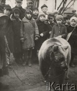 1924-1932, Kosów Poleski, woj. poleskie, Polska.
Niedźwiednik z tresowanym niedźwiedziem i zgromadzone wokół dzieci.
Fot. Feliks Drozdowski, zbiory Oorodka KARTA, Pogotowie Archiwalne [PAF_050], udostepni3 Krzysztof Drozdowski