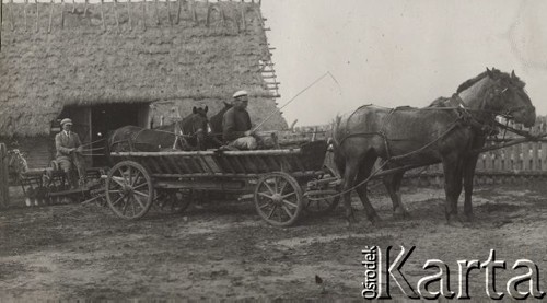 1924-1932, Kosów Poleski, woj. poleskie, Polska.
Mężczyzna jadący wozem zaprzęgniętym w dwa konie, w głębi z lewej mężczyzna siedzący na maszynie rolniczej, w tle stodoła kryta strzechą.
Fot. Feliks Drozdowski, zbiory Ośrodka KARTA, Pogotowie Archiwalne [PAF_050], udostęnił Krzysztof Drozdowski