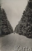 1924-1932, Kosów Poleski okolice, woj. poleskie, Polska.
Zima, leśna droga i drzewa pokryte śniegiem. W oddali widoczne są dwie osoby na sankach.
Fot. Feliks Drozdowski, zbiory Ośrodka KARTA, Pogotowie Archiwalne [PAF_050], udostępnił Krzysztof Drozdowski