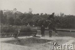 Po 1918, brak miejsca., Polska.
Zawody jeździeckie, skok konno przez przeszkodę.
Fot. NN, zbiory Ośrodka Karta, udostępniła Elżbieta Bakanowska