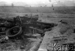 Lato 1944, Białoruś, ZSRR.
Letnia ofensywa Armii Czerwonej - zniszczone stanowisko artyleryjskie, rozbite działo.
Fot. Aleksiej Pamiatnych (ojciec), udostępnił Aleksiej Pamiatnych, zbiory Ośrodka KARTA