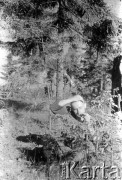 Lato 1944, Białoruś, ZSRR.
Letnia ofensywa Armii Czerwonej - gwardyjski pułk czołgów podczas postoju w lesie. Aleksiej Pamiatnych w czasie golenia.
Fot. NN, udostępnił Aleksiej Pamiatnych, zbiory Ośrodka KARTA