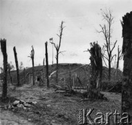 Wrzesień 1939, Westerplatte, Polska.
Zdobyty polski bunkier z zatkniętą niemiecką flagą.
Fot. Hugo Jager, zdjęcia z albumu 