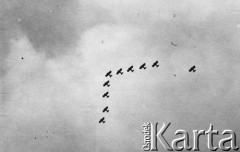 1938-1939, brak miejsca, Polska.
 Samoloty PWS-26.
 Fot. NN, album lotnika Tadusza Hojdena udostępniła Marzena Deniszczuk-Czerniecka
   
