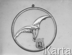 1938-1939, Polska.
Odznaka pułku lotniczego.
Fot. NN, album lotnika Tadusza Hojdena udostępniła Marzena Deniszczuk-Czerniecka
 
