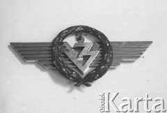 1938-1939, Polska.
Odznaka pułku lotniczego.
Fot. NN, album lotnika Tadusza Hojdena udostępniła Marzena Deniszczuk-Czerniecka
 
