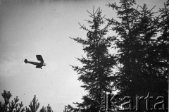 1938-1939, brak miejsca, Polska.
 Samolot RWD-8.
 Fot. NN, album lotnika Tadusza Hojdena udostępniła Marzena Deniszczuk-Czerniecka
   
