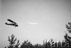 1938-1939, brak miejsca, Polska.
 Samolot RWD-8.
 Fot. NN, album lotnika Tadusza Hojdena udostępniła Marzena Deniszczuk-Czerniecka
   
