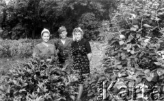 14.07.1944, Ciechanowiszki, pow. Wileńsko-Trocki.
Oddział partyzancki Bazy z Kedywu Komendy Okręgu Wileńskiego AK w czasie akcji 