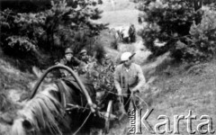 15.07.1944, okolice Wilna, pow. Wileńsko-Trocki.
Oddział partyzancki Bazy z Kedywu Komendy Okręgu Wileńskiego AK w czasie akcji 