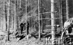 18.07.1944, Puszcza Rudnicka, pow. Wileńsko-Trocki.
Oddział partyzancki Bazy z Kedywu Komendy Okręgu Wileńskiego AK. Partyzanci śpią po wyczerpującym nocnym marszu do puszczy - ucieczce przed rozbrojeniem przez sowietów.
Fot. Zygmunt Zniszczyński, zbiory Ośrodka KARTA, kolekcja BAZY-MIÓD [sygn. 14/0]
