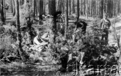 20-21.07.1944, Puszcza Rudnicka, pow. Wileńsko-Trocki.
Oddział partyzancki Bazy z Kedywu Komendy Okręgu Wileńskiego AK. Tymczasowy leśny biwak zamaskowany choinkami.
Fot. Zygmunt Zniszczyński, zbiory Ośrodka KARTA, kolekcja BAZY-MIÓD [sygn. 7/5]

