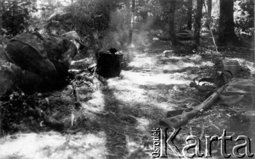 Koniec lipca 1944, Puszcza Grodzieńska, pow. Grodno.
Oddział partyzancki Bazy z Kedywu Komendy Okręgu Wileńskiego AK. Biwak w puszczy - Mieczysław Zniszczyński 