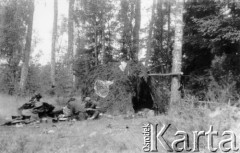 Koniec lipca 1944, Puszcza Grodzieńska, pow. Grodno.
Oddział partyzancki Bazy z Kedywu Komendy Okręgu Wileńskiego AK na biwaku w puszczy.
Fot. Zygmunt Zniszczyński, zbiory Ośrodka KARTA, kolekcja BAZY-MIÓD [sygn. 2/28]

