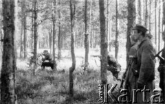 Koniec lipca 1944, Puszcza Grodzieńska, pow. Grodno.
Oddział partyzancki Bazy z Kedywu Komendy Okręgu Wileńskiego AK podczas ćwiczeń w puszczy.
Fot. Zygmunt Zniszczyński, zbiory Ośrodka KARTA, kolekcja BAZY-MIÓD [sygn. 2/28]

