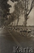 Brak daty, Polska.
Wyścig kolarski.
Fot. NN, zbiory Ośrodka Karta, udostępniło Warszawskie Towarzystwo Cyklistów (WTC).