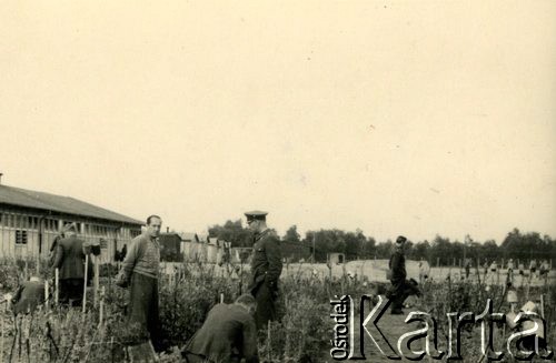 1940, Targu-Jiu, Rumunia.
Obóz internowania żołnierzy Wojska Polskiego - oficerowie uprawiający ogród warzywny, w ubraniu cywilnym ppor. pilot Adam Rotszyld, na drugim planie żołnierze grający w piłkę siatkową.
 Fot. NN, zbiory Ośrodka Karta, album (A-XIII). Zdjęcie ze zbioru ocalonego przez pracownika ambasady PRL w Bukareszcie Jerzego Polakowskiego
   
