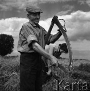 1972, Nowa Wieś, Polska.
Mokre żniwa. Tradycyjne zbiory zbóż przy pomocy kosy. 
Fot. Wojciech Druszcz, zbiory Ośrodka KARTA