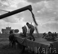 1972, Nowa Wieś, Polska.
Zebrane w czasie żniw ziarno.
Fot. Wojciech Druszcz, zbiory Ośrodka KARTA