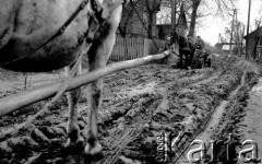 1976, Tomczyce, Polska.
Wiejska droga.
Fot. Wojciech Druszcz, zbiory Ośrodka KARTA
