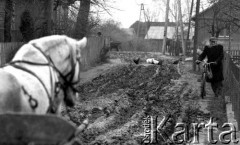 1976, Tomczyce, Polska.
Wiejska droga.
Fot. Wojciech Druszcz, zbiory Ośrodka KARTA