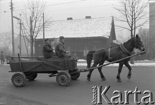 1976-1978, Ruda Śląska, woj. katowickie, Polska.
Mężczyśni na wozie zaprzęgniętym w konia.
Fot. Joanna Helander, zbiory Ośrodka KARTA