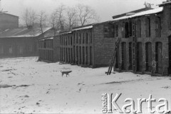 1976-1978, Ruda Śląska, woj. katowickie, Polska.
Chlewy niedaleko osiedle 