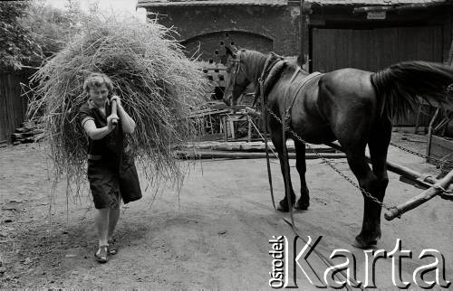 1976, Ruda Śląska, woj. katowickie, Polska.
Kobieta pracująca w gospodarstwie.
Fot. Joanna Helander, zbiory Ośrodka KARTA