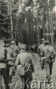 18.07.1944, Puszcza Rudnicka.
Partyzanci 6 Wileńskiej Samodzielnej Brygady Partyzanckiej Armii Krajowej w Puszczy Rudnickiej ukryci przed atakiem wojsk Armii Czerwonej.
Fot. NN, kolekcja Wincentego Borodziewicza, zbiory Ośrodka KARTA, przekazała Wanda Borodziewicz