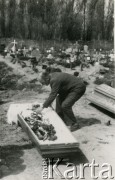 27.04.1957, Warszawa, Polska.
Ryszard Krzyżanowski układa w trumnie szczątki swojego brata płk Aleksandra Krzyżanowskiego ps. Wilk.
Fot. NN, kolekcja Wincentego Borodziewicza, zbiory Ośrodka KARTA, przekazała Wanda Borodziewicz