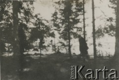 Listopad 1943, Dawciuny, Puszcza Rudnicka.
Partyzant Edward Piotr Skarga na warcie. 
Fot. NN, kolekcja Wincentego Borodziewicza, zbiory Ośrodka KARTA, przekazała Wanda Borodziewicz