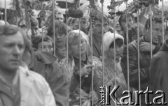 Sierpień 1980, Gdańsk, Polska.
Strajk okupacyjny w Stoczni Gdańskiej im. Lenina. Zgromadzone rodziny strajkujących oraz osoby popierające strajk za stoczniową bramą.
Fot. Zbigniew Trybek, zbiory Ośrodka KARTA

