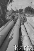 Sierpień 1980, Gdańsk, Polska.
Strajk okupacyjny w Stoczni Gdańskiej im. Lenina. Robotnicy na terenie stoczni.
Fot. Zbigniew Trybek, zbiory Ośrodka KARTA

