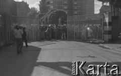3.10.1980, Gdańsk, Polska.
Pracownicy Stoczni Gdańskiej biorą udział w ogólnopolskim, jednogodzinnym strajku ostrzegawczym. Na zdjęciu tłum przed bramą stoczni. Na pierwszym planie operator kamery.
Fot. Zbigniew Trybek, zbiory Ośrodka KARTA