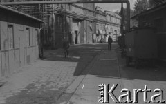 3.10.1980, Gdańsk, Polska.
Pracownicy Stoczni Gdańskiej biorą udział w ogólnopolskim, jednogodzinnym strajku ostrzegawczym. Na zdjęciu stoczniowcy na terenie stoczni.
Fot. Zbigniew Trybek, zbiory Ośrodka KARTA