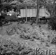 Sierpień 1980, Gdańsk, Polska.
Strajk okupacyjny w Stoczni Gdańskiej im. Lenina. Robotnicy odpoczywają na trawie.
Fot. Zbigniew Trybek, zbiory Ośrodka KARTA