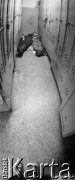 Sierpień 1980, Gdańsk, Polska.
Strajk okupacyjny w Stoczni Gdańskiej im. Lenina. Na zdjęciu śpiący stoczniowcy.
Fot. Zbigniew Trybek, zbiory Ośrodka KARTA