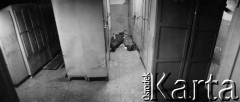 Sierpień 1980, Gdańsk, Polska.
Strajk okupacyjny w Stoczni Gdańskiej im. Lenina. Na zdjęciu śpiący stoczniowcy.
Fot. Zbigniew Trybek, zbiory Ośrodka KARTA