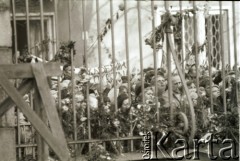 3.11.1984, Warszawa, Polska.
Pogrzeb księdza Jerzego Popiełuszki w kościele św. Stanisława Kostki. 
Fot. Jerzy Szot, zbiory Ośrodka KARTA