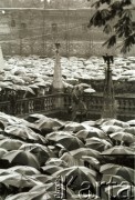 1984, Kraków, Polska.
Procesja świętego Stanisława na Skałce.
Fot. Jerzy Szot, zbiory Ośrodka KARTA