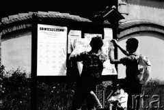 Maj - czerwiec 1989, Kraków, Polska
Kampania wyborcza przed wyborami do parlamentu. Mężczyźni wieszają plakat z programem wyborczym Komitetu Obywatelskiego 