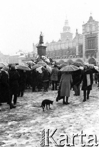 listopad 1981, Kraków, Polska.
Marsz wolności zorganizowany w obronie aresztowanego działacza KPN Leszka Moczulskiego. Manifestanci na rynku przed Sukiennicami.
Fot. Jerzy Szot, zbiory Ośrodka KARTA