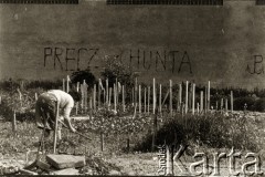 Lata 80., Polska.
Praca na działce. Na murze napis: 