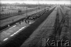 05.11.1989, Oświęcim, Polska.
KL Auschwitz Birkenau. Droga krzyżowa. Droga i tory kolejowe, bocznica obozowa. Rampa kolejowa. Z lewej ogrodzenie obozu. 
Fot. Piotr Dylik, zbiory Ośrodka KARTA