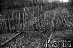 1987, Oświęcim, Polska.
KL Auschwitz Birkenau. Bocznica kolejowa do obozu. Płot.
Fot. Piotr Dylik, zbiory Ośrodka KARTA