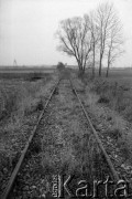 1987, Oświęcim, Polska.
KL Auschwitz Birkenau. Tory kolejowe, bocznica obozowa. W głębi wartownia i brama główna.
Fot. Piotr Dylik, zbiory Ośrodka KARTA