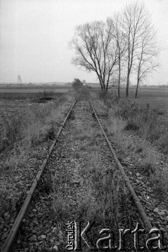 1987, Oświęcim, Polska.
KL Auschwitz Birkenau. Tory kolejowe, bocznica obozowa. W głębi wartownia i brama główna.
Fot. Piotr Dylik, zbiory Ośrodka KARTA