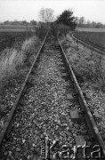 1987, Oświęcim, Polska.
KL Auschwitz Birkenau. Tory kolejowe, bocznica obozowa. 
Fot. Piotr Dylik, zbiory Ośrodka KARTA